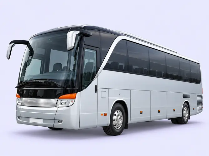 bus